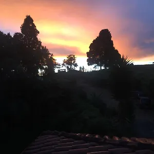 Solentiname , Medellín Colombia